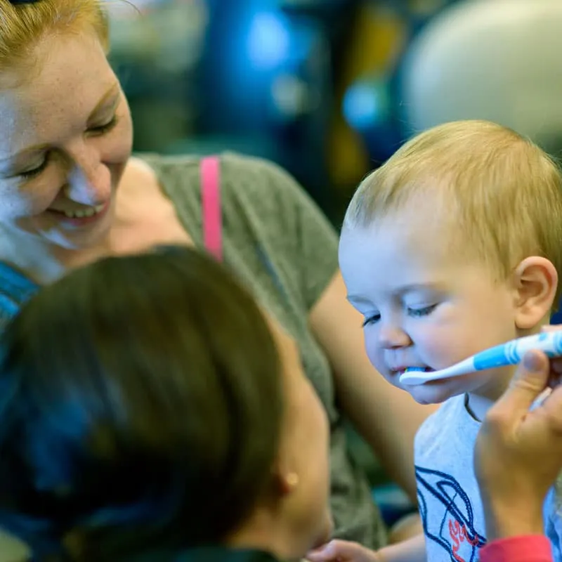 Bluefish Dental Pediatric Infant Teeth Brushing