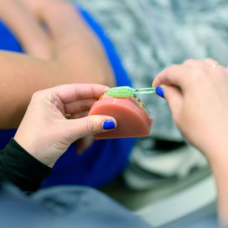 Bluefish Braces Orthodontic Education